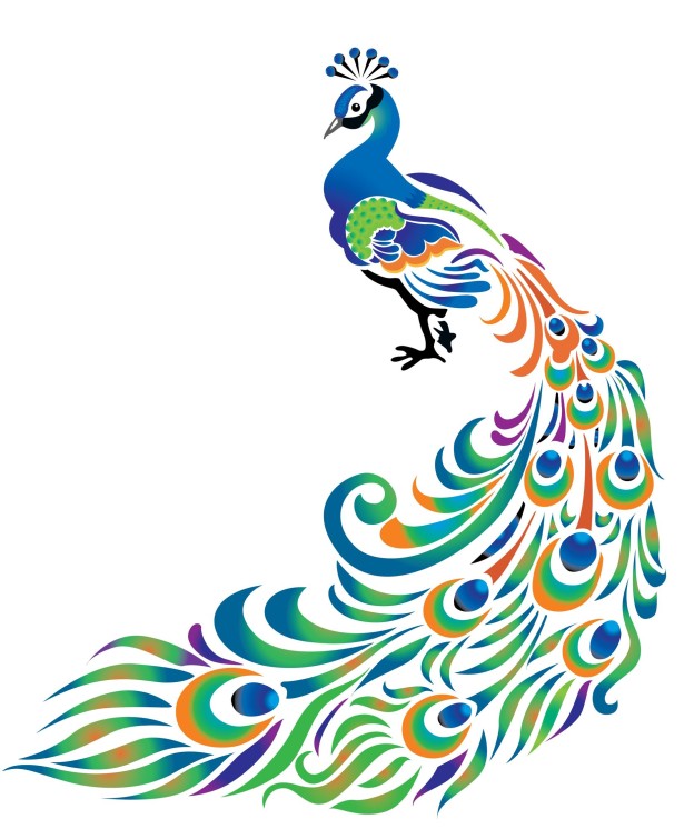 peacock-art-for-auction-image-624x755