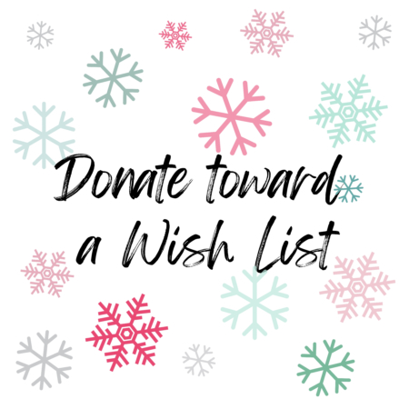 Donate Funds Toward a Wish List